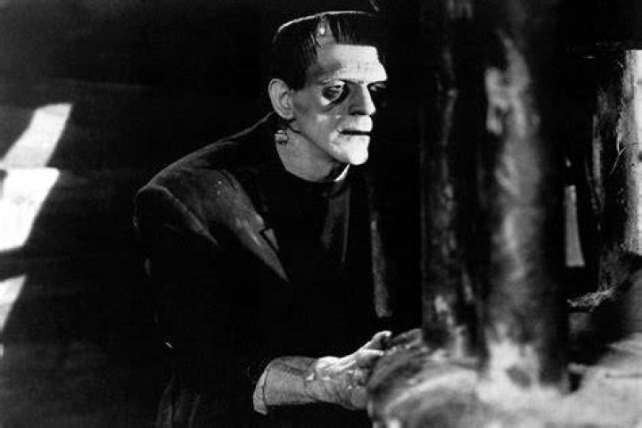 17 Surprising Items About The Frankenstein Author