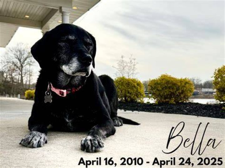 Bella worked in the US Navy