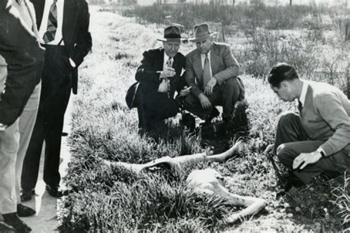 Black Dahlia Crime Scene