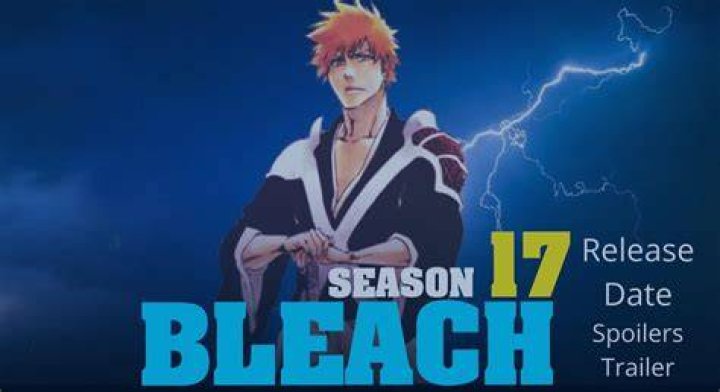 Bleach Season 17 plot