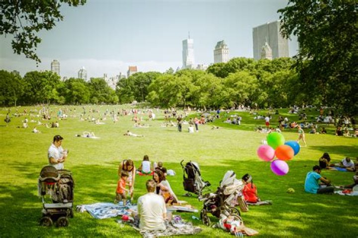 Central Park Picnic