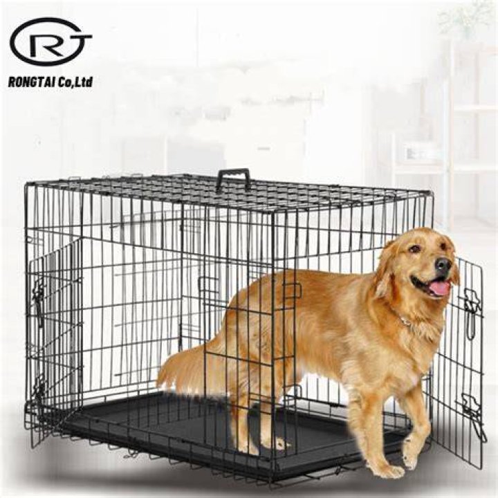 China Dog Cages