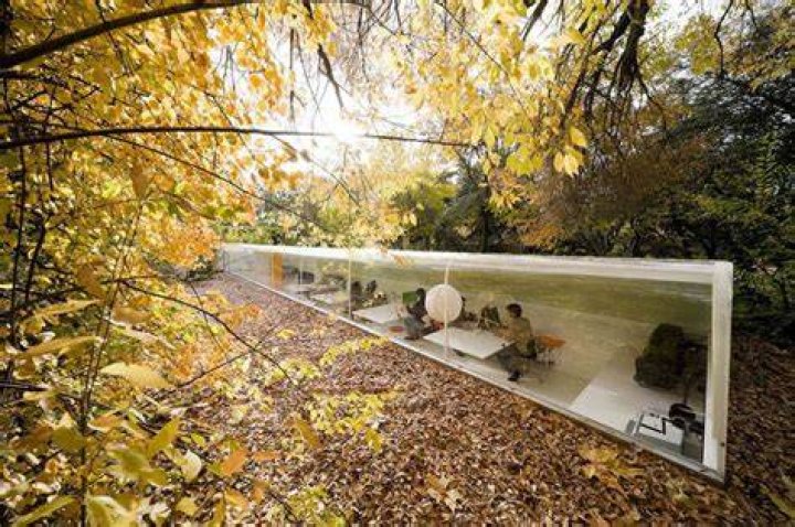 Coolest Offices Selgascano