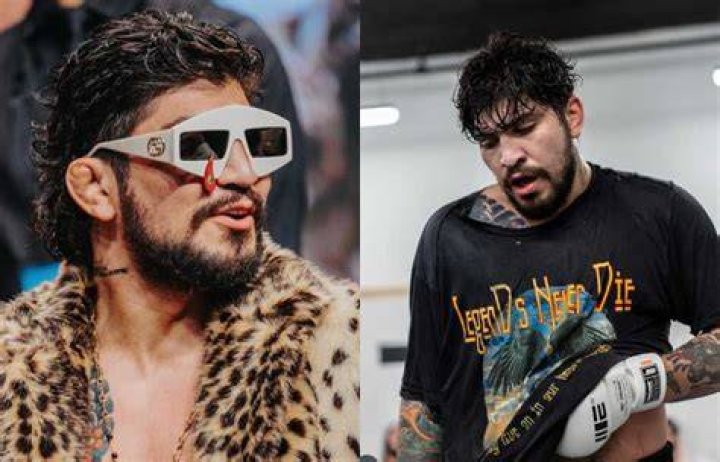 Dillon Danis career