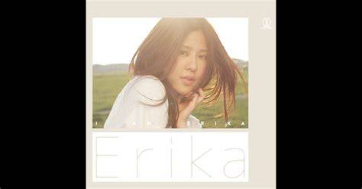 Erika's estimated Instagram earning