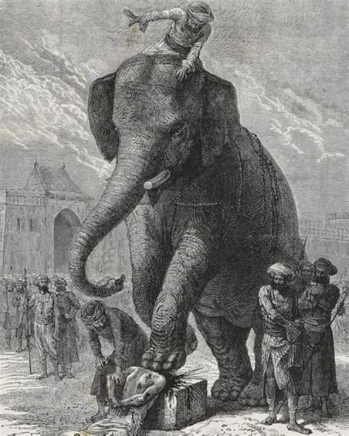 Execution By Elephant