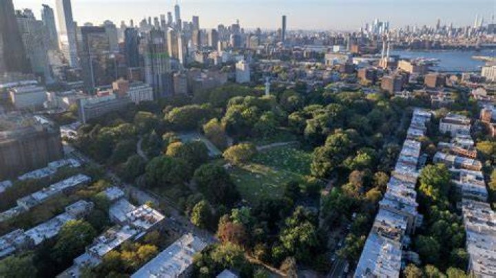 Fort Green