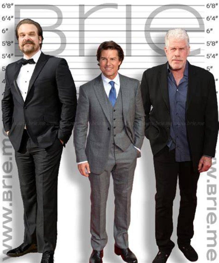 Height of David Harbour