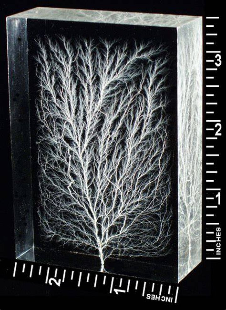 Lichtenberg Figures