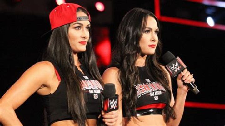 Nikki and Brie Bella Show Off Their Baby Bumps