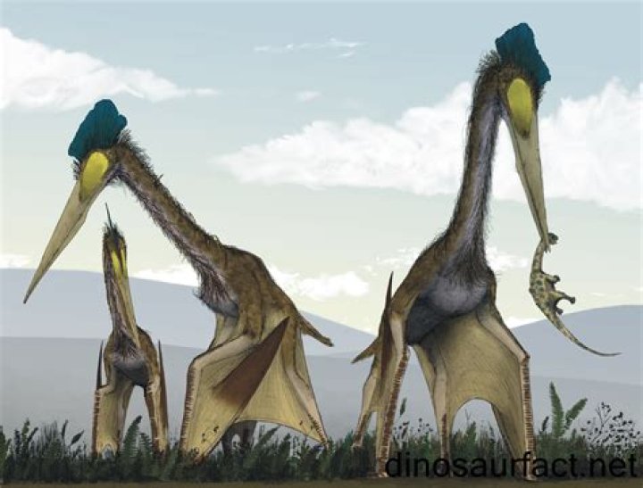 Quetzalcoatlus Eating A Dinosaur