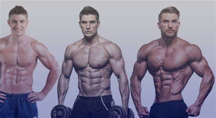 Ryan Terry workout