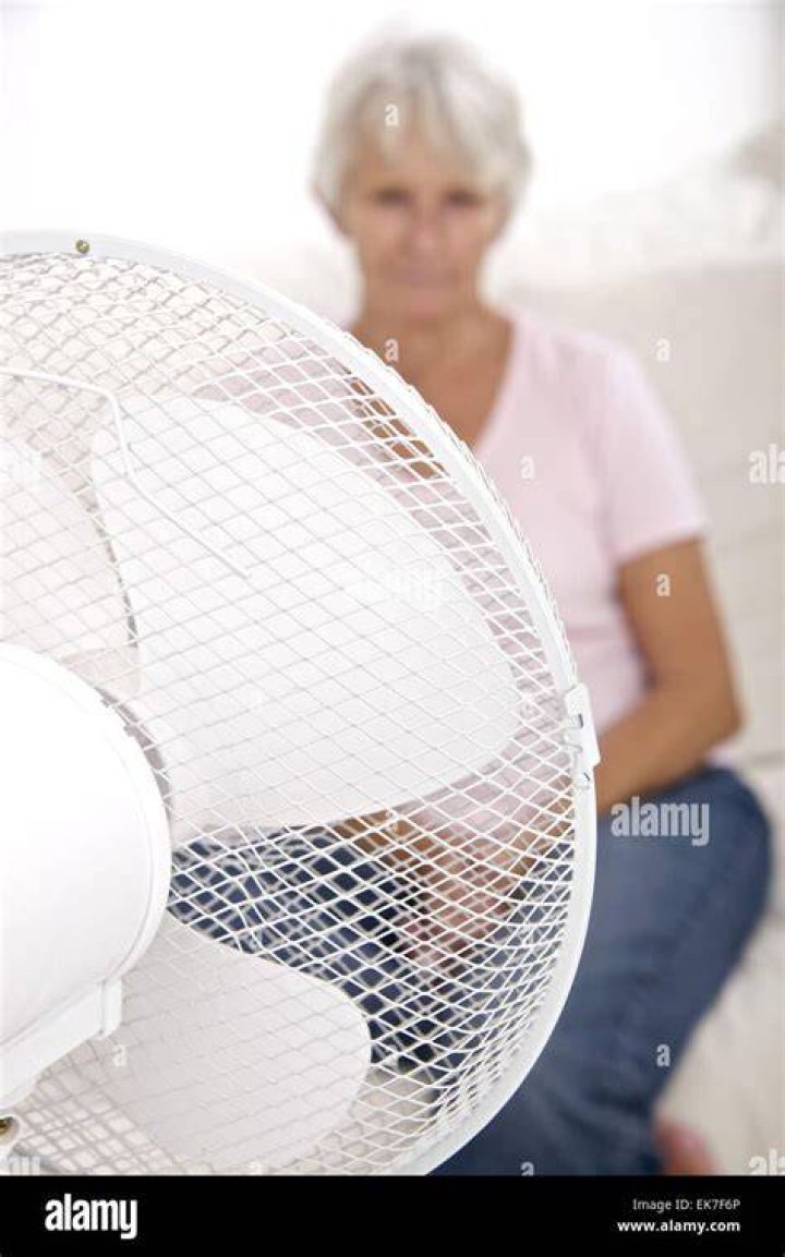Seated Fan