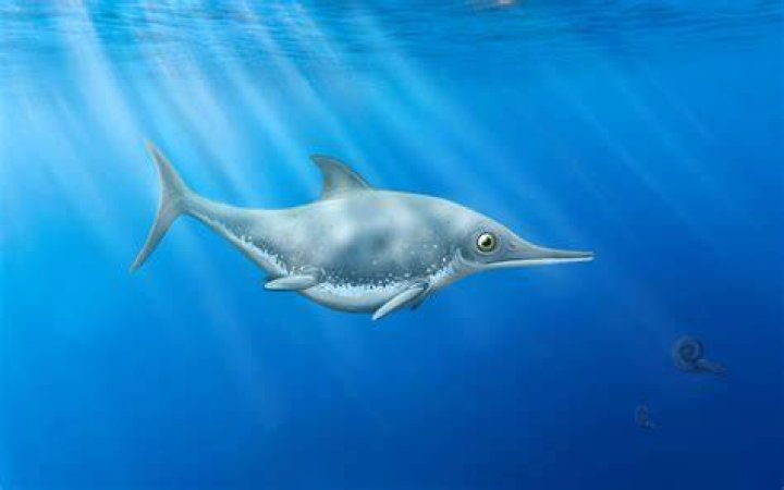 Thalassodraco Etchesi Teeth