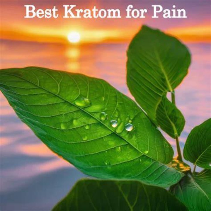 The Best Kratom for Pain In 2023