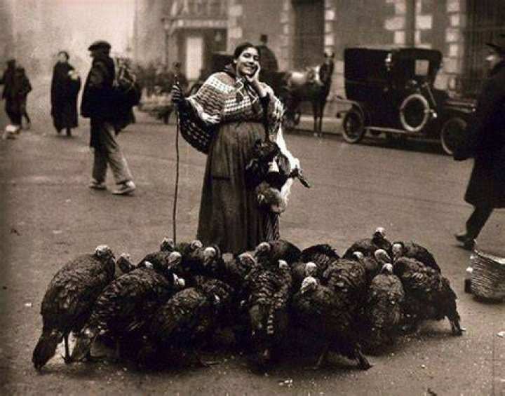 Turkeys In Madrid