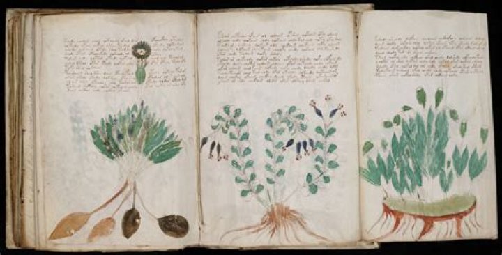 Voynich Among His Books